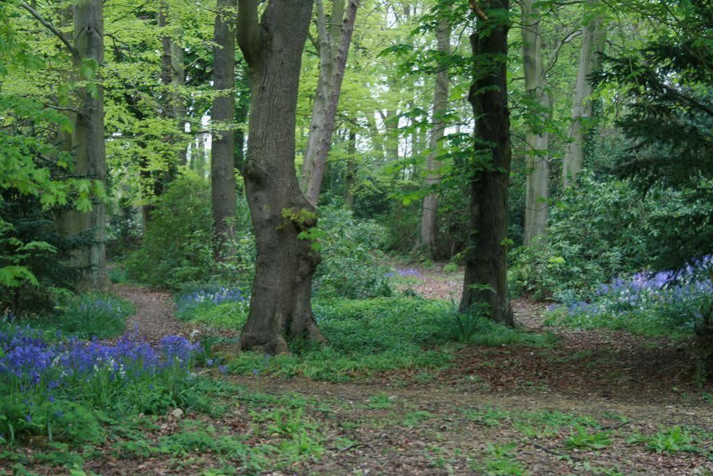 Bed and Breakfast Burnhopeside Hall Lanchester Exteriér fotografie